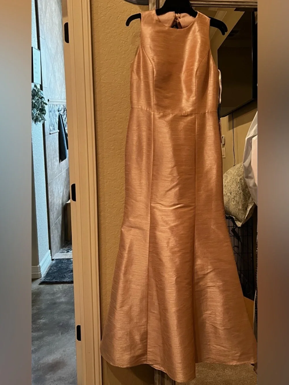ALFRED SUNG SZ 12 Pearl Pink Gown - Picture 2 of 6